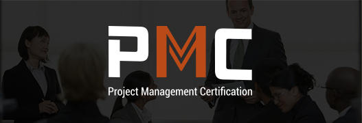 PMI (Project Management Institute)