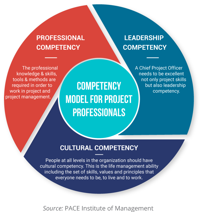 COMPETENCY MODEL FOR PROJECT PROFESSIONALS