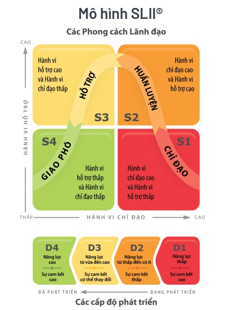 lãnh đạo linh hoạt với mô hình slii
