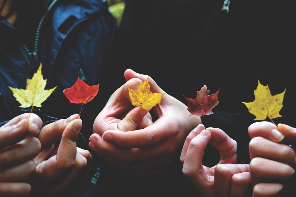 TOP 7 DIVERSITY AND INCLUSION STORIES FOR 2018