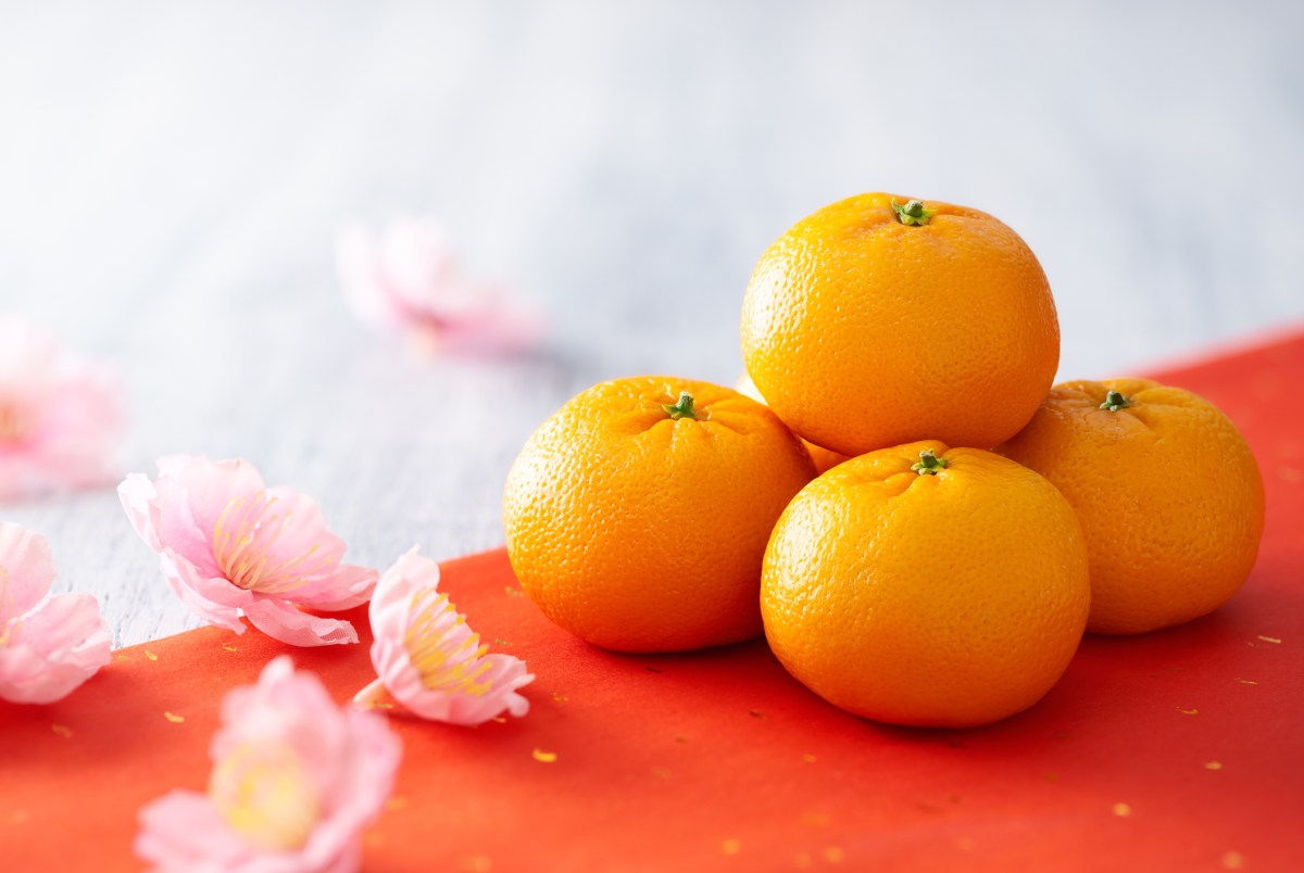 loi-khuyen-nhan-su-trong-nam-moi.jpg loi-khuyen-nhan-su-trong-nam-moi.jpg