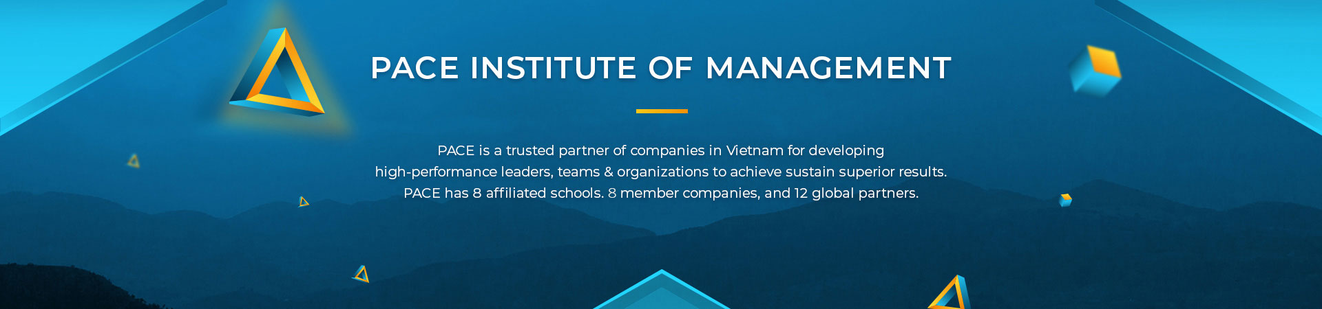 PACE’S 20-YEAR MILESTONES: A 2-DECADE JOURNEY OF DEVELOPING LEADERS & PROFESSIONALS FOR BUSINESS & SOCIETY IN VIETNAM