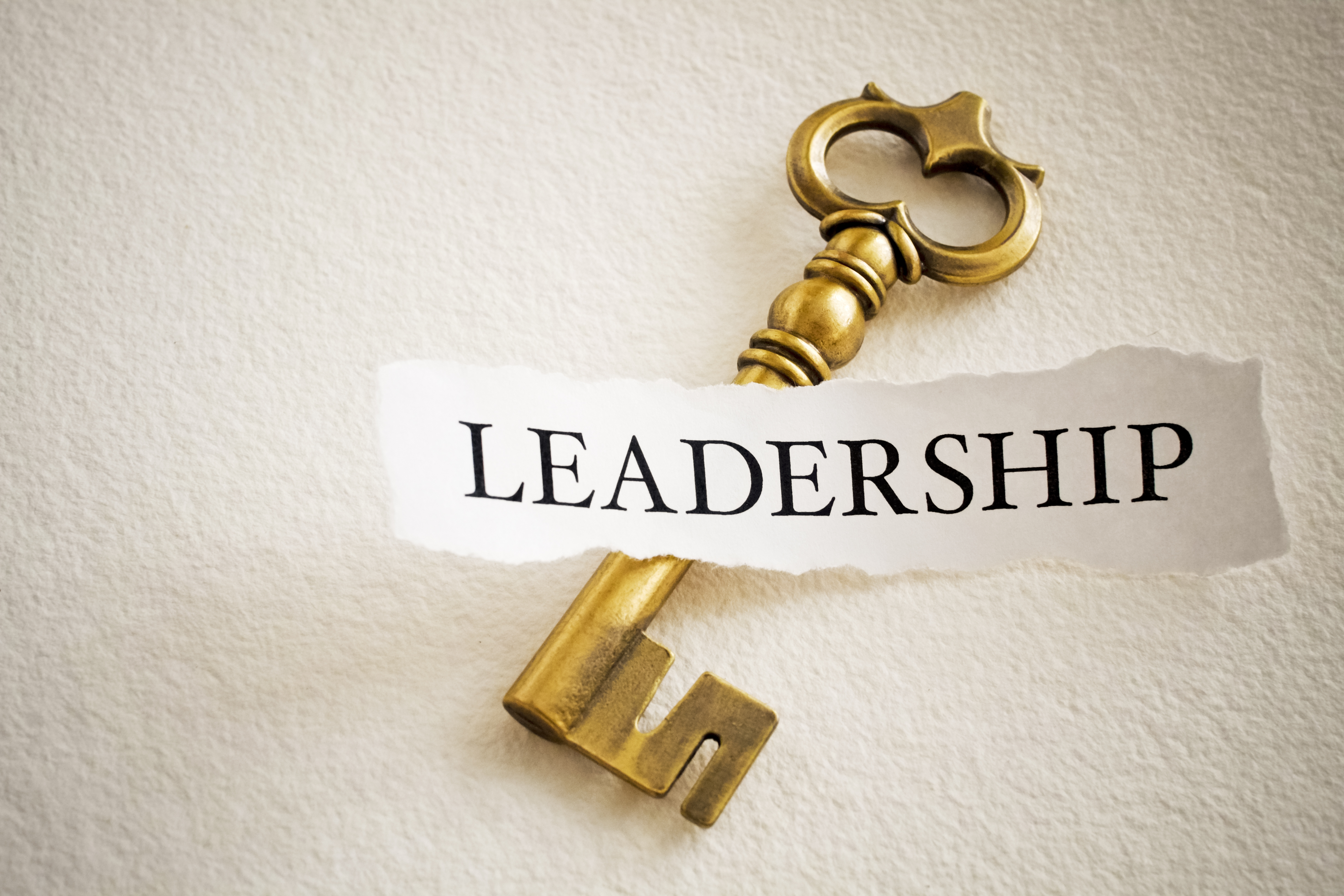 10 KEY MANAGEMENT PRINCIPLES
