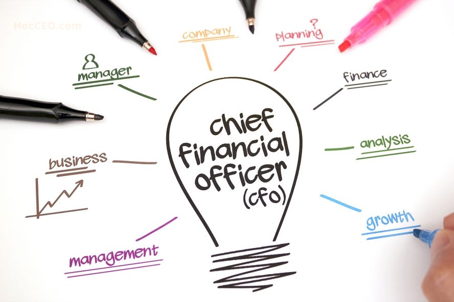 6 STEPS TO AN EFFECTIVE FINANCIAL STATEMENT ANALYSIS FOR CFO