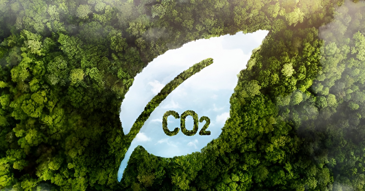 Tín chỉ carbon là gì? Thị trường mua bán chứng chỉ carbon