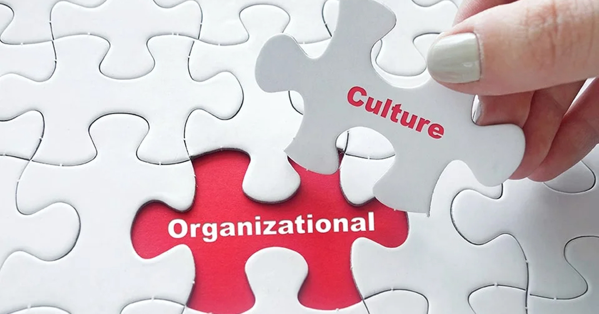 Văn hóa tổ chức là gì? Vai trò văn hóa tổ chức trong doanh nghiệp