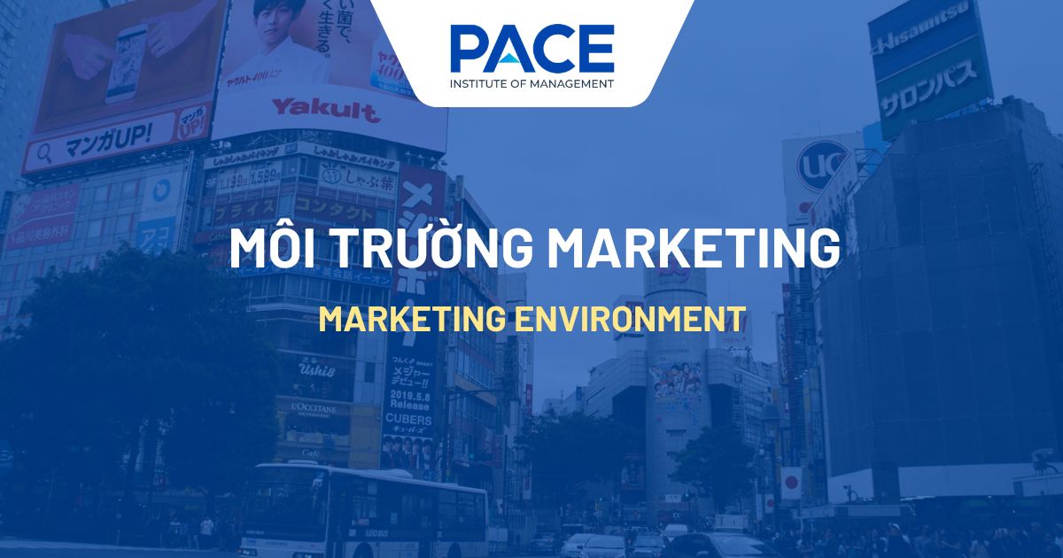 Môi trường Marketing là gì? Phân tích các yếu tố ảnh hưởng