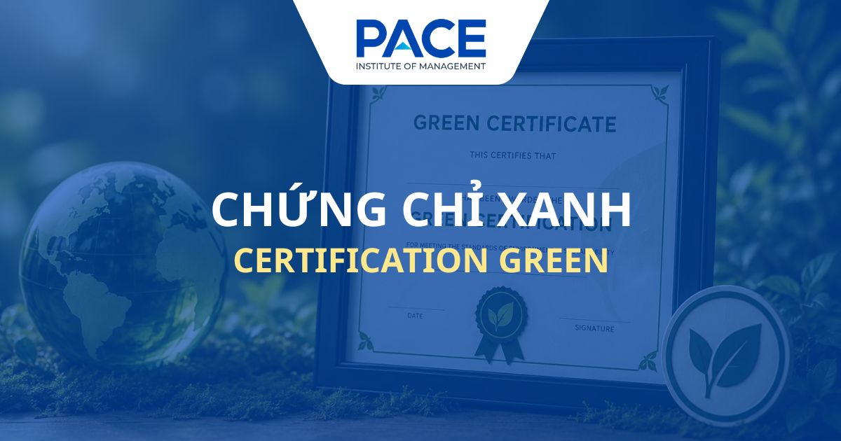 Chứng chỉ xanh là gì? 10+ chứng chỉ xanh phổ biến thế giới
