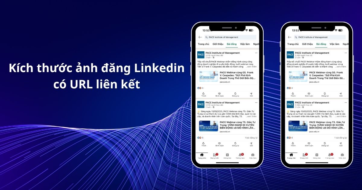 kích thước ảnh kèm url trên linkedin