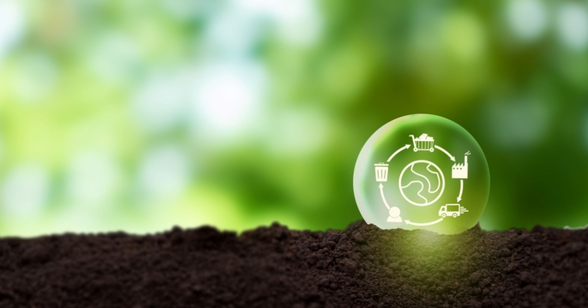 ví dụ chuỗi cung ứng xanh