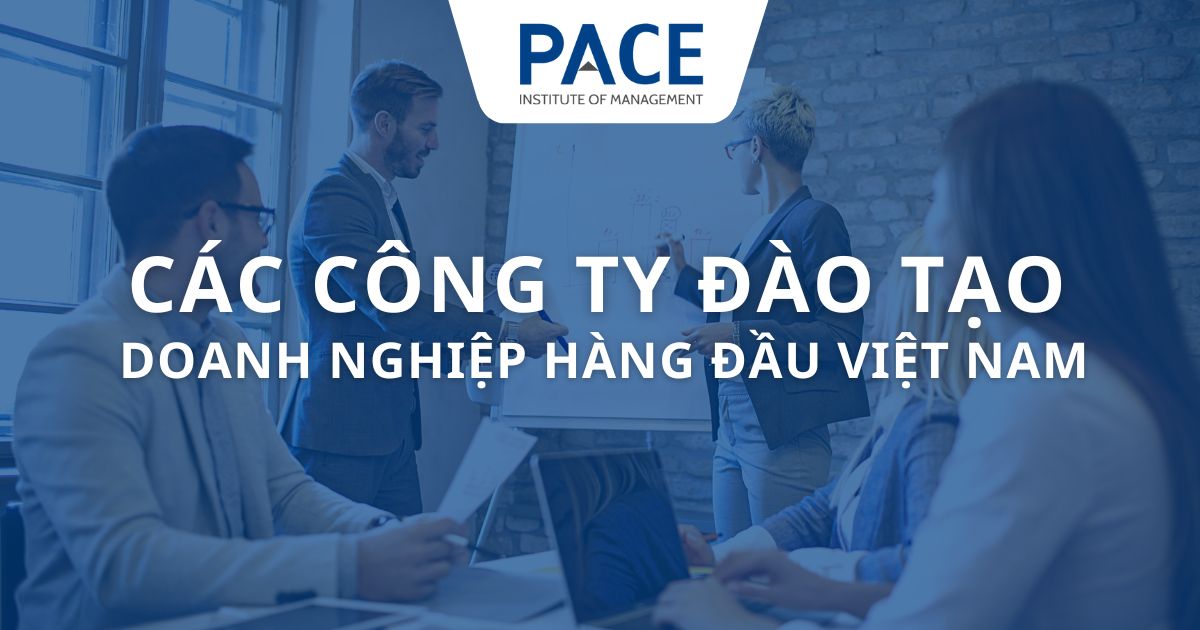 Các tổ chức đào tạo doanh nghiệp hàng đầu việt nam hiện nay