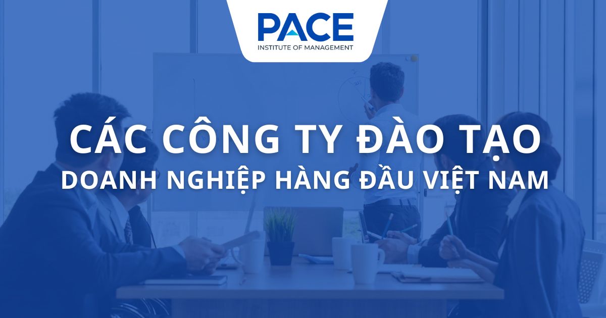 Các tổ chức đào tạo doanh nghiệp hàng đầu việt nam hiện nay