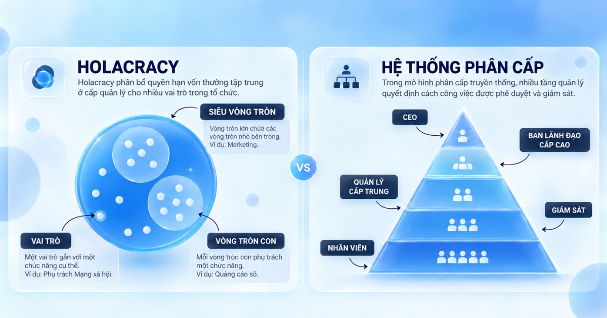 Holacracy là gì