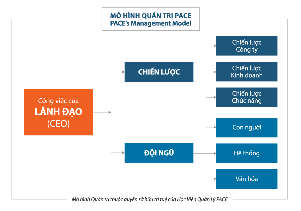 PACE’s Management Model - Mô hình quản trị độc quyền của PACE