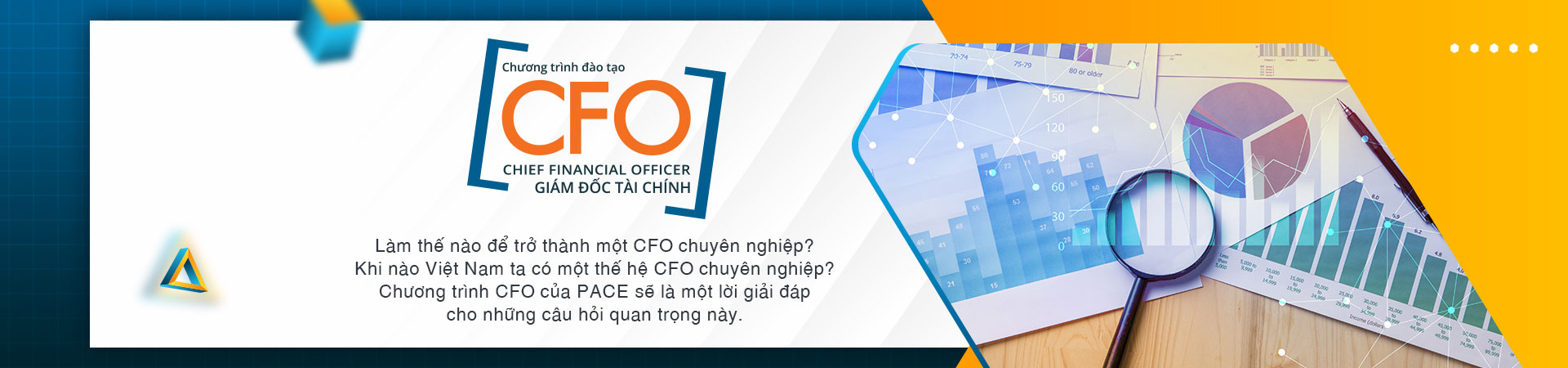 CFO - GIÁM ĐỐC TÀI CHÍNH