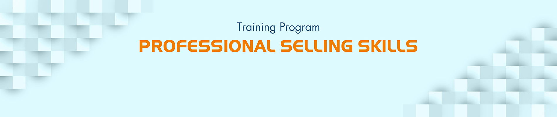 Professional Selling Skills