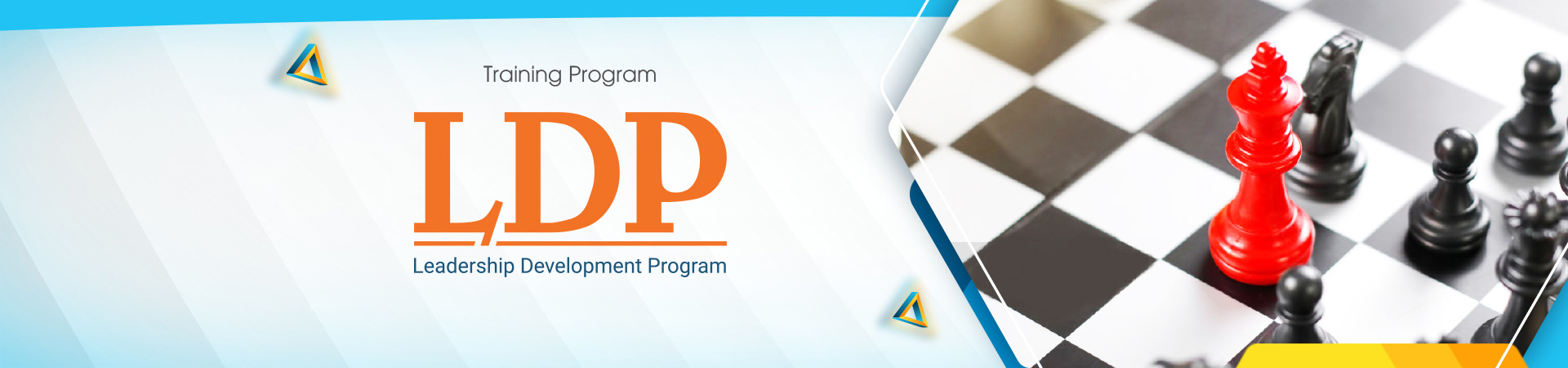 LDP - Leadership Development Program
