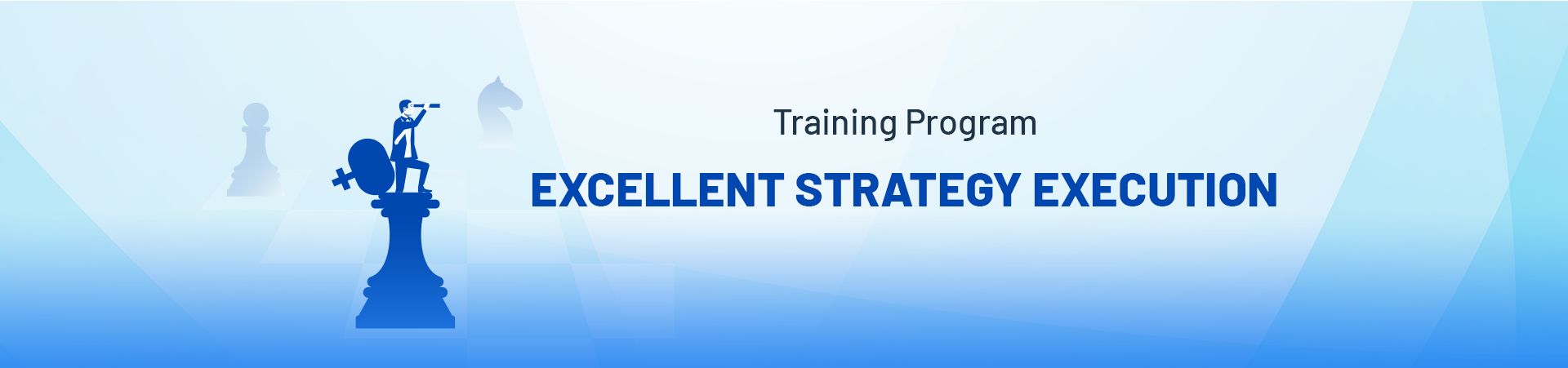 Excellent Strategy Execution