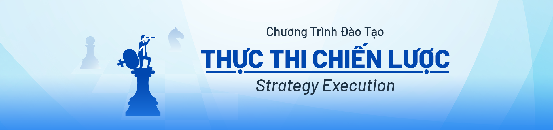 Thực thi Chiến lược